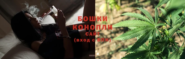 шишки Снежинск