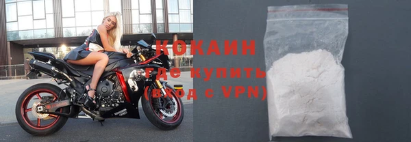 дживик Богородск