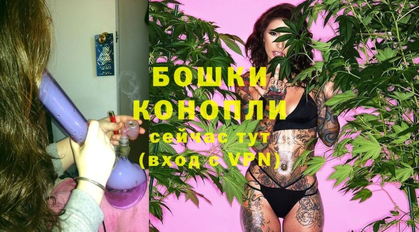 шишки Снежинск