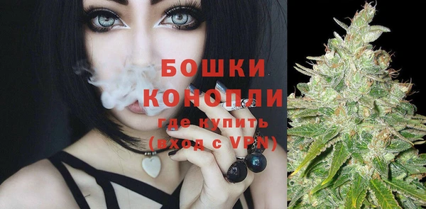 дживик Богородск