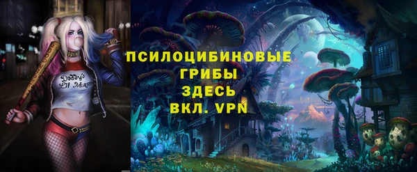 дживик Богородск