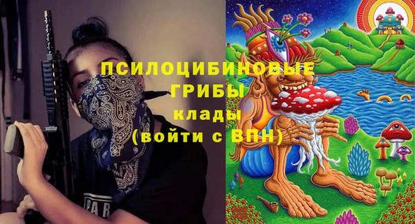 дживик Богородск